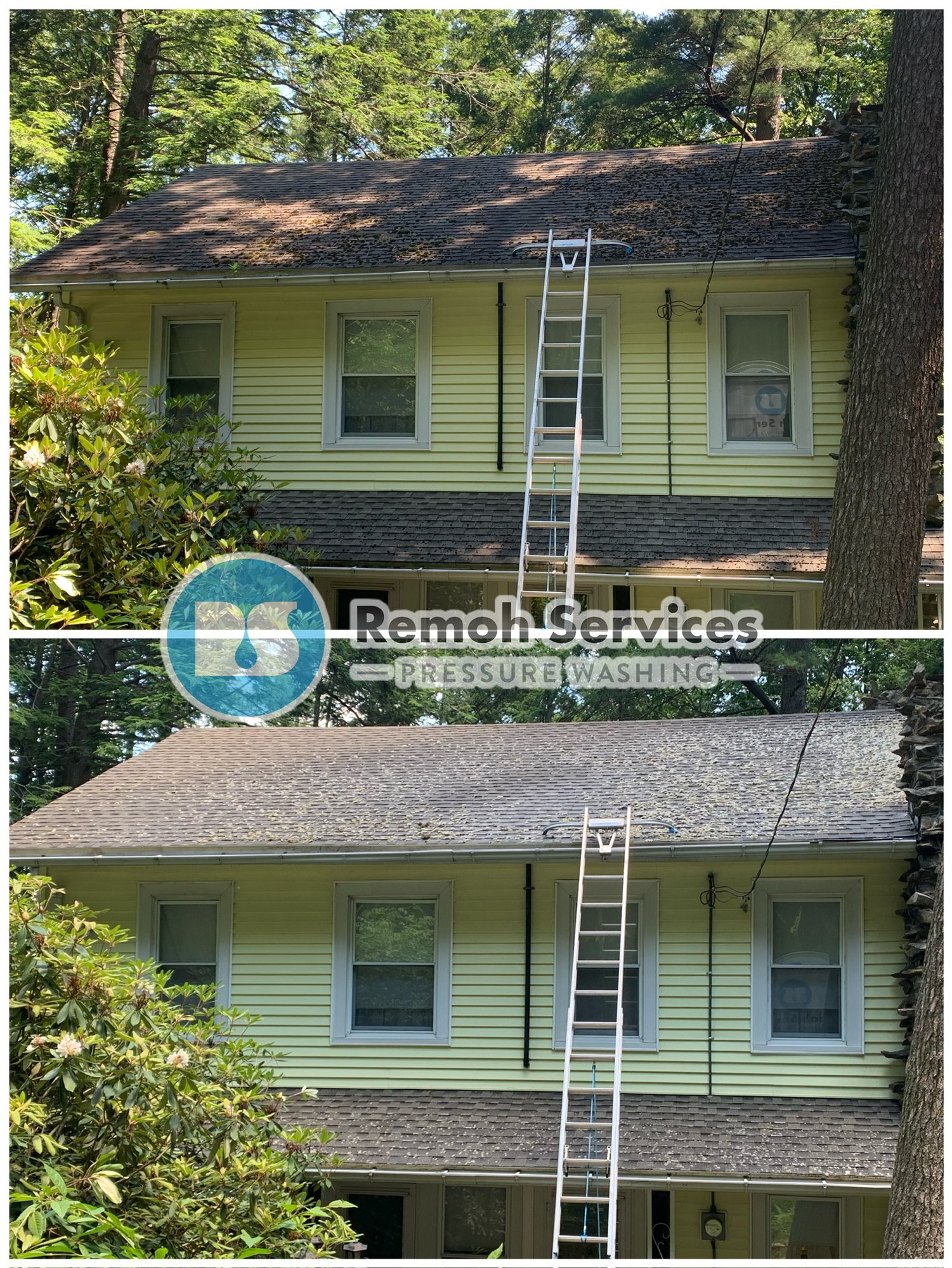 Before and after: soft wash roof cleaning, moss on shingles